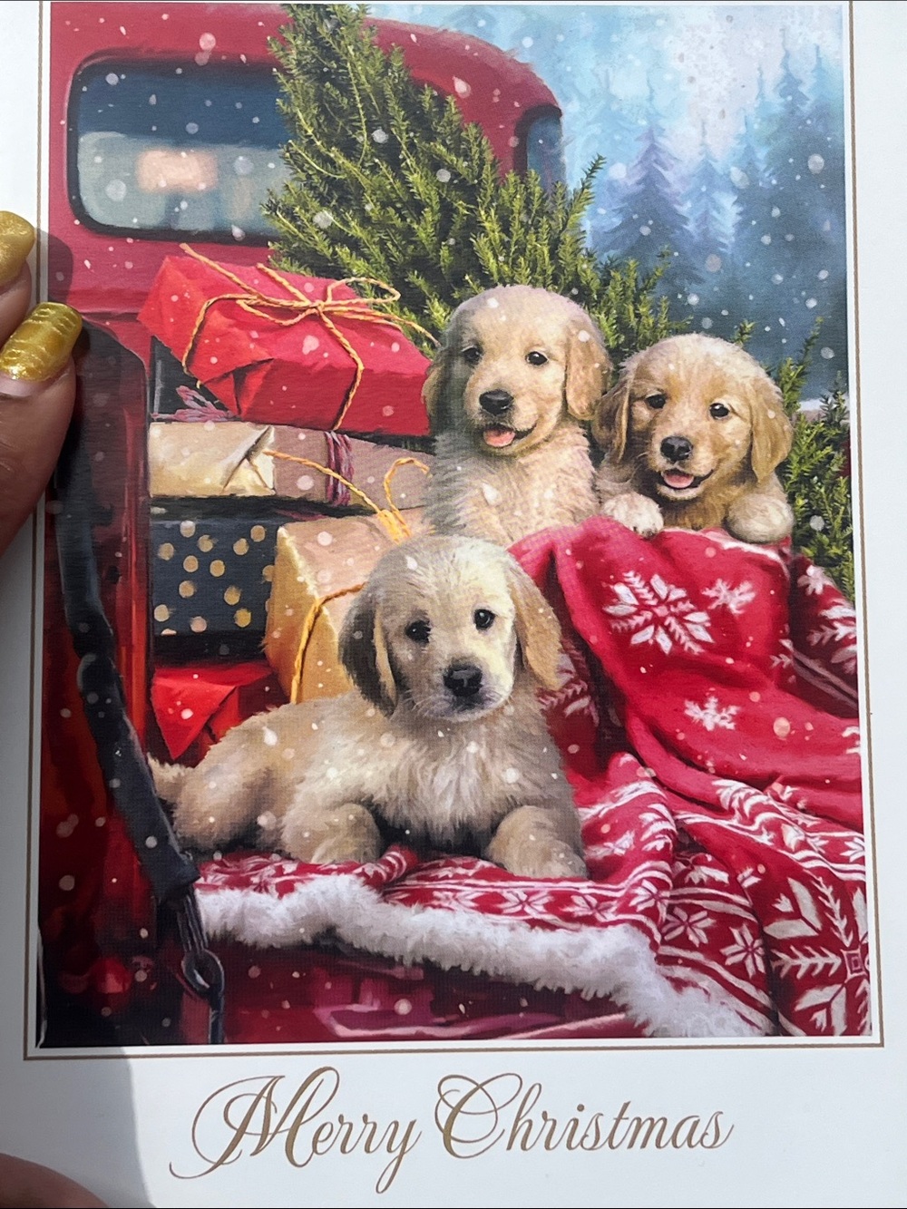 Holiday Puppies Decorative Wall Art Print - Red